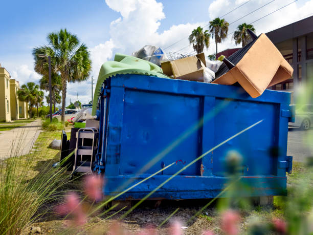 Best Local Junk Hauling  in Winslow, AZ
